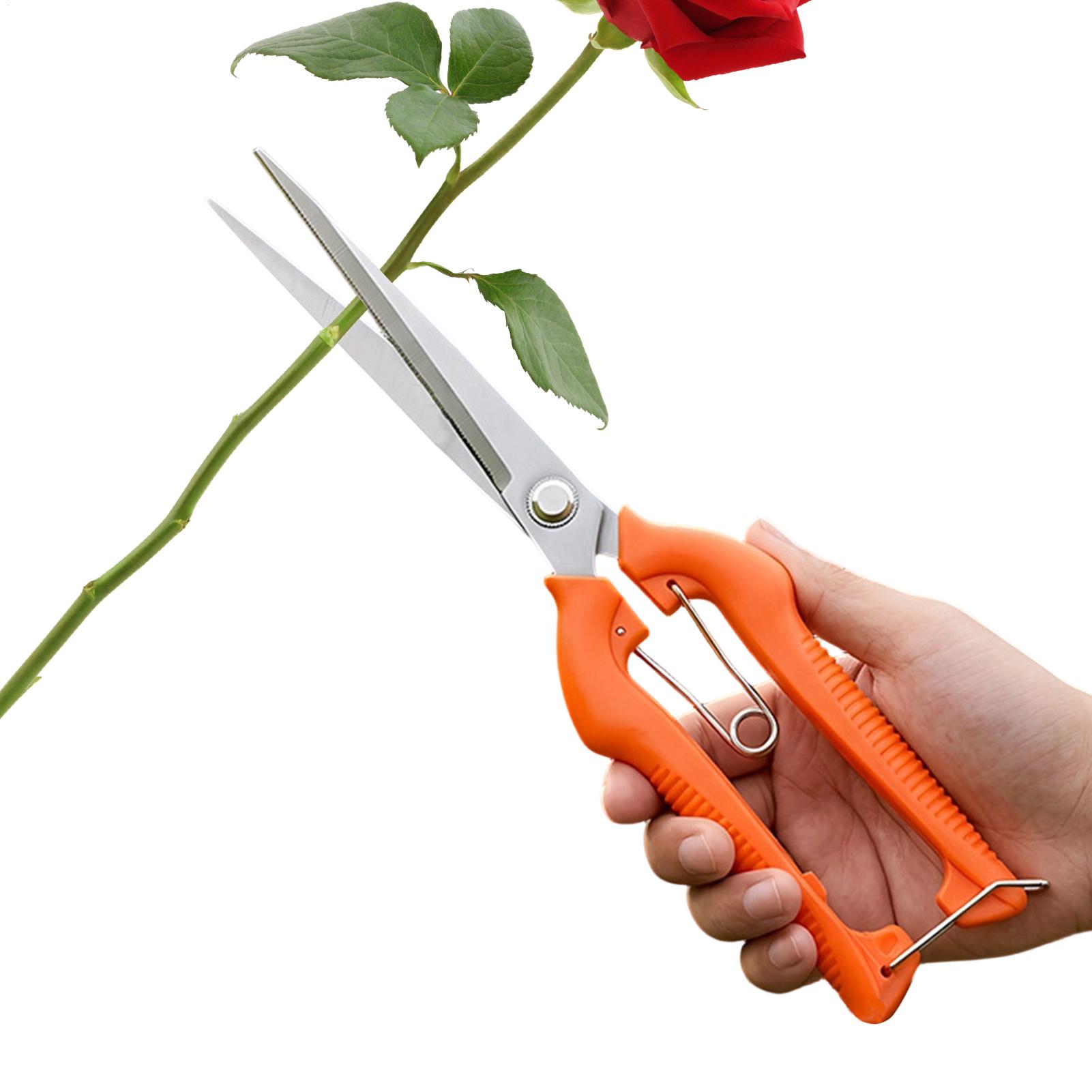 Bonsai Garden Knife - กรรไกรตัดแต่งกิ่ง ตัดองุ่น อุปกรณ์ทำสวน ตัดผัก ตัดบอนไซ แบบมืออาชีพ