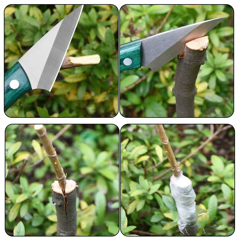 Bonsai Garden Knife - สแตนเลส Grafting มีด Sheath สวน Professional