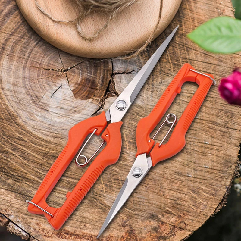 กรรไกรตัดแต่งกิ่งอเนกประสงค์ – - Bonsai Garden Knife บทวิจารณ์และราคา