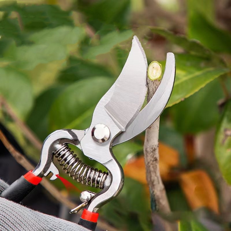 กรรไกรตัดแต่งกิ่งสวน เครื่องมื - Bonsai Garden Knife บทวิจารณ์และราคา