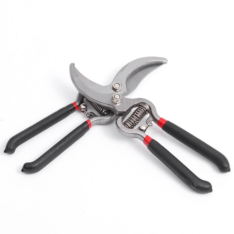 กรรไกรตัดแต่งกิ่งสวน เครื่องมื - Bonsai Garden Knife บทวิจารณ์และราคา