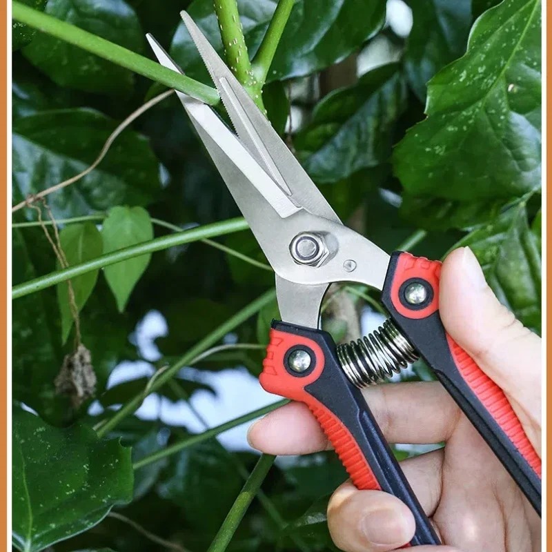 กรรไกรตัดแต่งกิ่งสแตนเลส NEWSH - Bonsai Garden Knife บทวิจารณ์และราคา