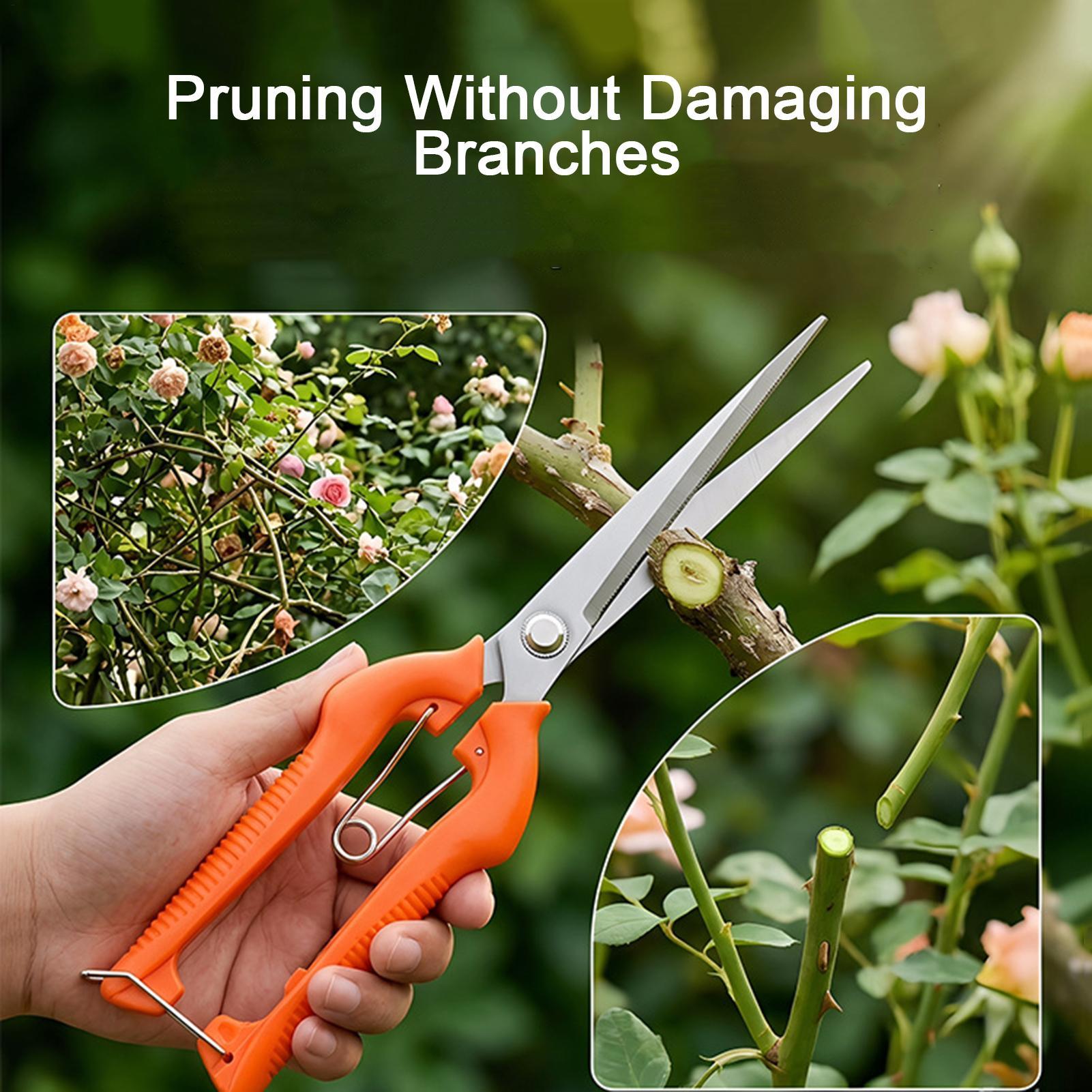 กรรไกรตัดแต่งกิ่ง ตัดองุ่น อุป - Bonsai Garden Knife บทวิจารณ์และราคา