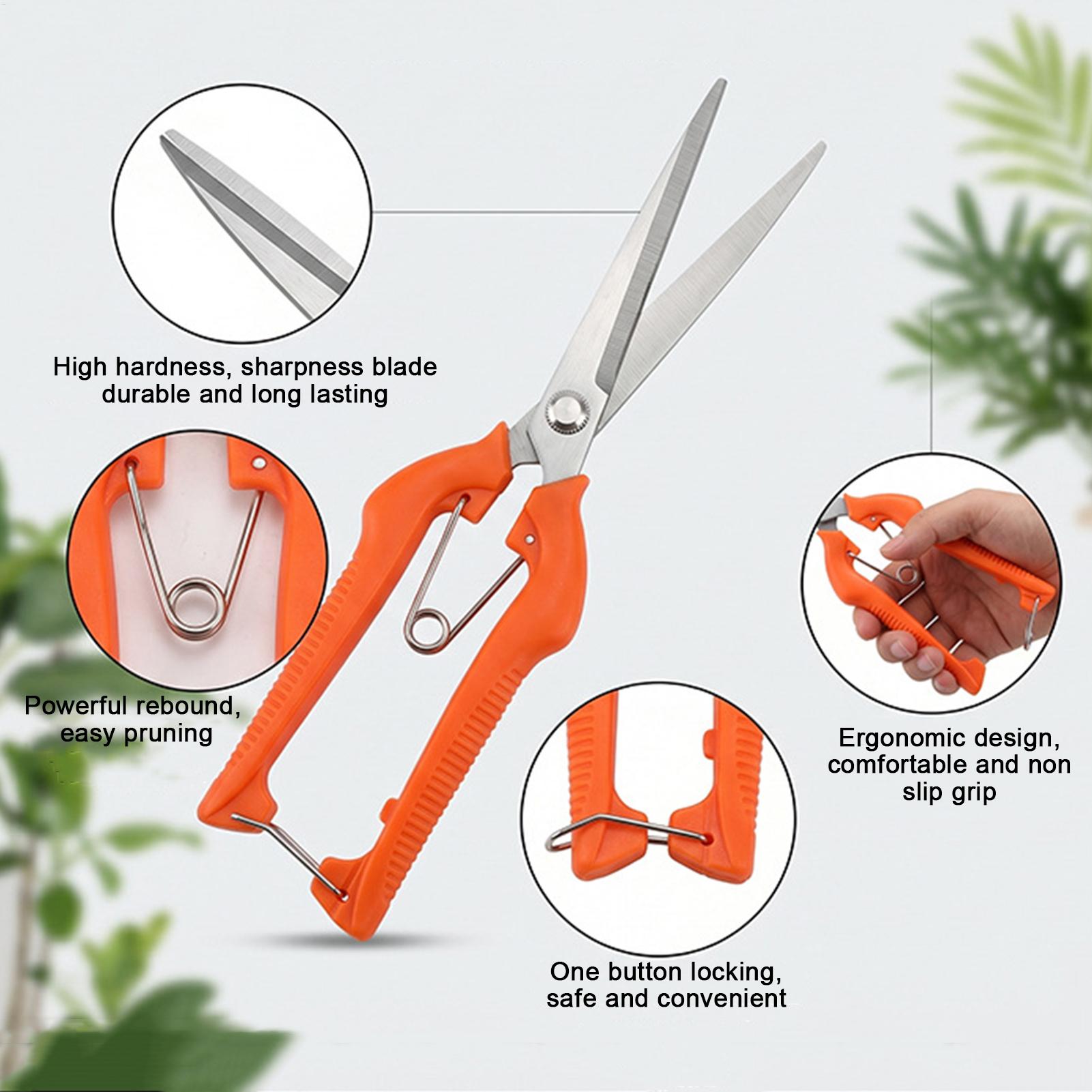 กรรไกรตัดแต่งกิ่ง ตัดองุ่น อุป - Bonsai Garden Knife บทวิจารณ์และราคา