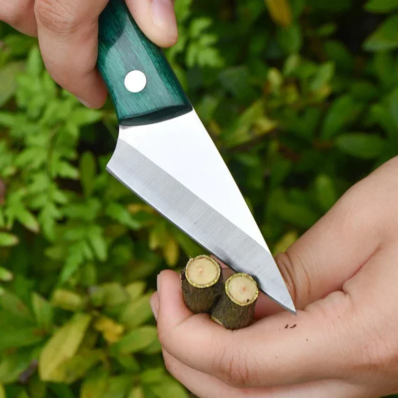สแตนเลส Grafting มีด Sheath สว - Bonsai Garden Knife บทวิจารณ์และราคา