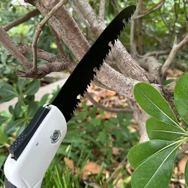 เครื่องมือทําสวนพับเครื่องมือเ - Bonsai Saw Folding บทวิจารณ์และราคา