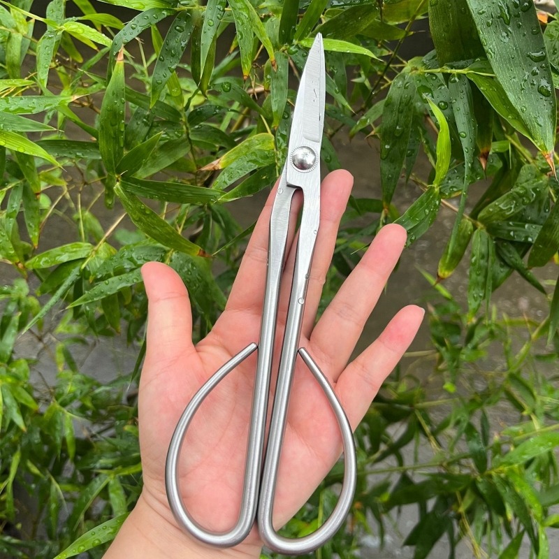 กรรไกรตัดกิ่งไม้เล็ก อุปกรณ์ทำ - Bonsai Garden Knife บทวิจารณ์และราคา