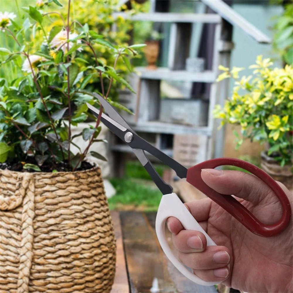 เครื่องมือบอนไซกรรไกรด้ามยาวสว - Bonsai Garden Knife บทวิจารณ์และราคา