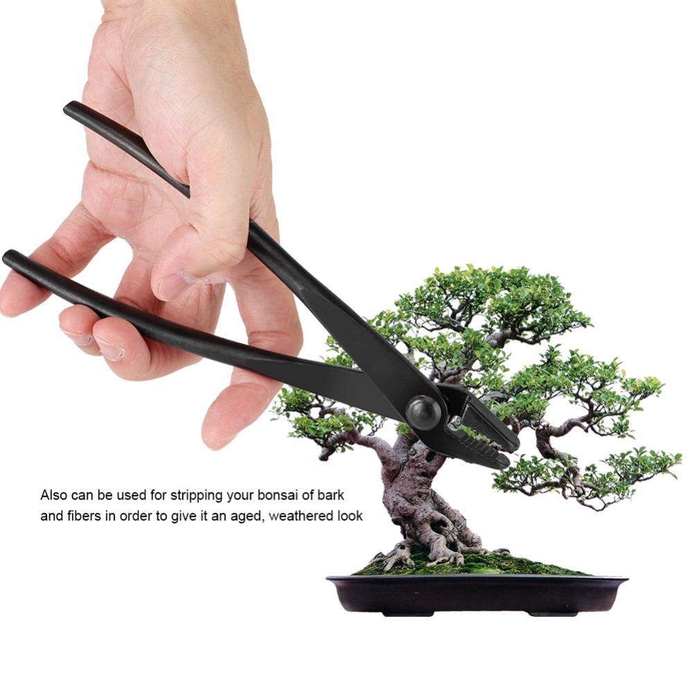 คีมตัดลวดบอนไซโลหะผสมเหล็กแมงก - Bonsai Garden Knife บทวิจารณ์และราคา