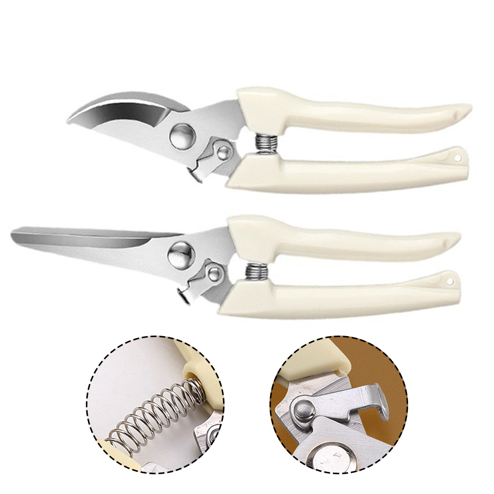 กรรไกรตัดแต่งกิ่งเครื่องมือบอน - Bonsai Garden Knife บทวิจารณ์และราคา