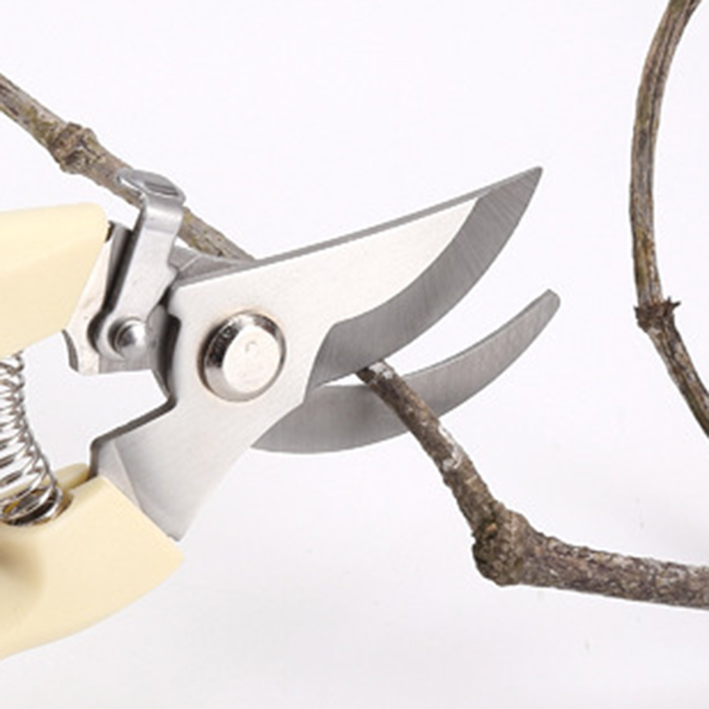 กรรไกรตัดแต่งกิ่งเครื่องมือบอน - Bonsai Garden Knife บทวิจารณ์และราคา